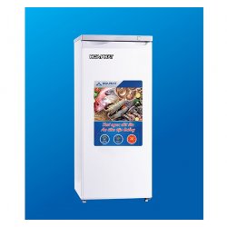 Tủ Đông Funiki HUF 350SR1